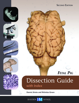 Fetal Pig Dissection Guide with Index by Dennis Strete, MS, PhD; Nicholas Green, MS, PhD - Second Edition, 2015 from Macmillan Student Store