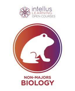 Intellus Open Course for Biology for Non-Majors (Six Months Access) by Intellus - First Edition, 2019 from Macmillan Student Store
