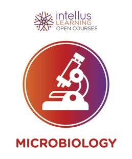 Intellus Open Course for Microbiology (Six Months Access) by Intellus - First Edition, 2019 from Macmillan Student Store