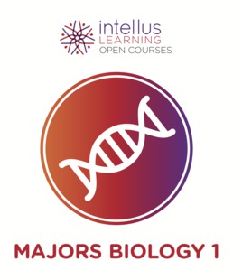 Intellus Open Course for Introduction to Majors Biology - 1st Semester (Six Months Access) by Intellus - First Edition, 2019 from Macmillan Student Store