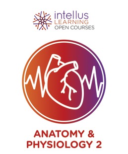 Intellus Open Course for Anatomy and Physiology - 2nd Semester (Six Months Access) by Intellus - First Edition, 2019 from Macmillan Student Store