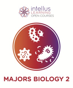 Intellus Open Course for Introduction to Majors Biology - 2nd Semester (Six Months Access) by Intellus - First Edition, 2019 from Macmillan Student Store