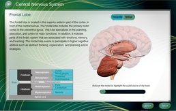 LaunchPad Solo for Neuroscience by Yehuda Shavit; Uri Hasson - First Edition, 2014 from Macmillan Student Store