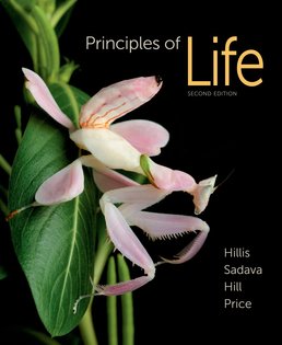 Principles of Life by David M. Hillis; David Sadava; Richard W. Hill; Mary V. Price - Second Edition, 2014 from Macmillan Student Store