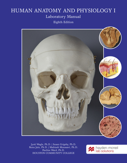 HM A&P I Lab Manual by Jyoti Wagle, Ph.D. - First Edition, 2019 from Macmillan Student Store