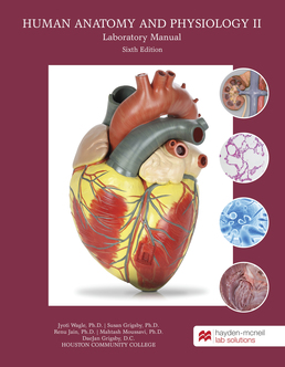 HM A&P II Lab Manual by Jyoti Wagle, Ph.D. - First Edition, 2019 from Macmillan Student Store