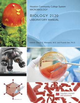 HM Biology 2120 - Microbiology Lab by Donna S. Wiersema, M.S.; Pramila Sen, Ph.D. - First Edition, 2019 from Macmillan Student Store