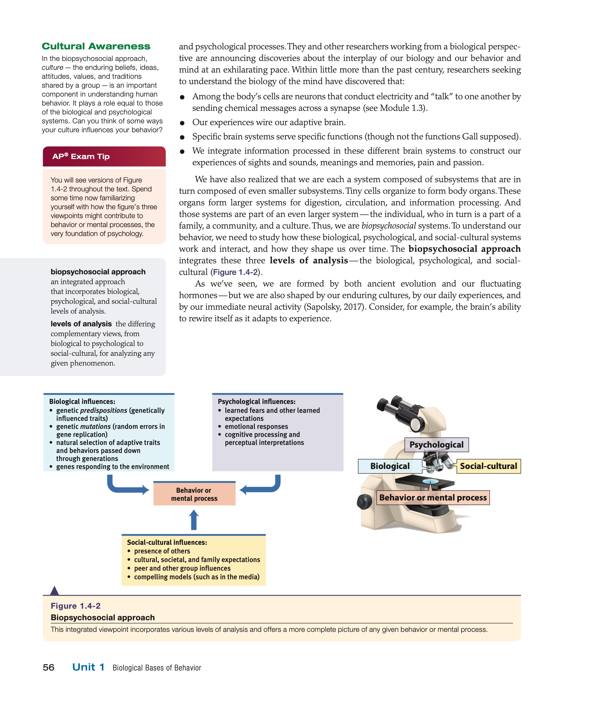 Ap 4 Module 2022-bfw-myers-ap-4e-modules