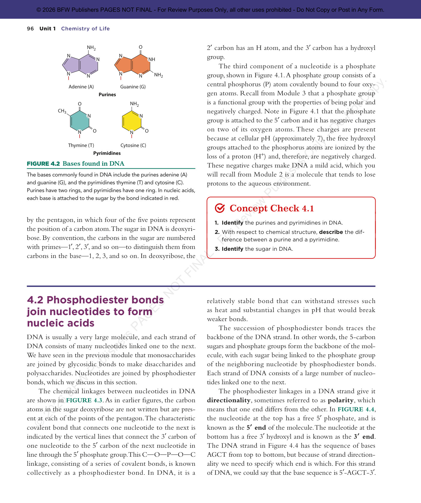 Page 42