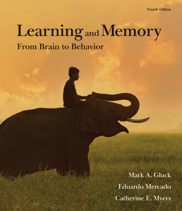 Cover: Learning and Memory, 4th Edition by Mark A. Gluck; Eduardo Mercado; Catherine E. Myers