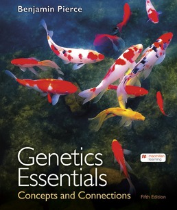 Cover: Genetics Essentials, 5th Edition by Benjamin A. Pierce