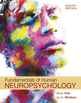 Cover: Fundamentals of Human Neuropsychology, 8th Edition by Bryan Kolb; Ian Whishaw