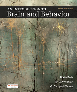 An Introduction to Brain and Behavior by Bryan Kolb; Ian Whishaw; G. Teskey - Seventh Edition, 2023 from Macmillan Student Store