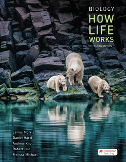 Cover: Biology: How Life Works, 4th Edition by James Morris; Daniel Hartl; Andrew Knoll; Robert Lue; Melissa Michael; Andrew Berry; Andrew Biewener; Brian Farrell; N. Michele Holbrook; Jessica Liu; Jean Heitz; Mark Hens; Elena Lozovsky; John Merrill; Randall Phillis; Debra Pires