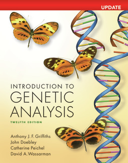 Cover: Introduction to Genetic Analysis, Digital Update, 12th Edition by Anthony Griffiths; John Doebley; Catherine Peichel; David A. Wassarman