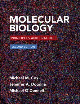 Cover: Molecular Biology, 2nd Edition by Michael M. Cox; Jennifer Doudna; Michael O'Donnell