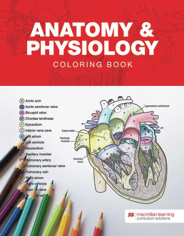 Anatomy & Physiology Coloring Book by Hayden-McNeill - First Edition, 2024 from Macmillan Student Store