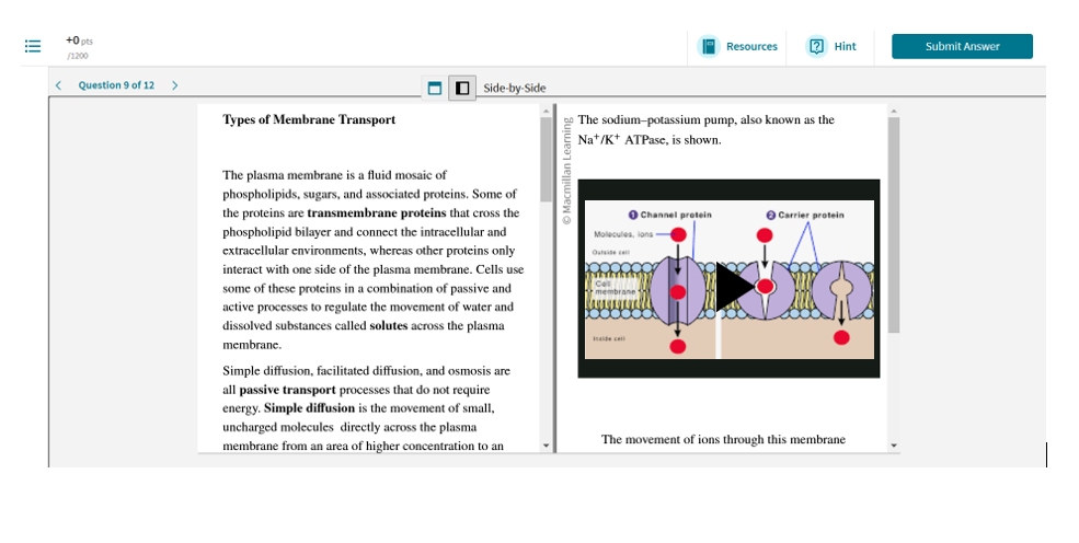 screenshot of video assignment