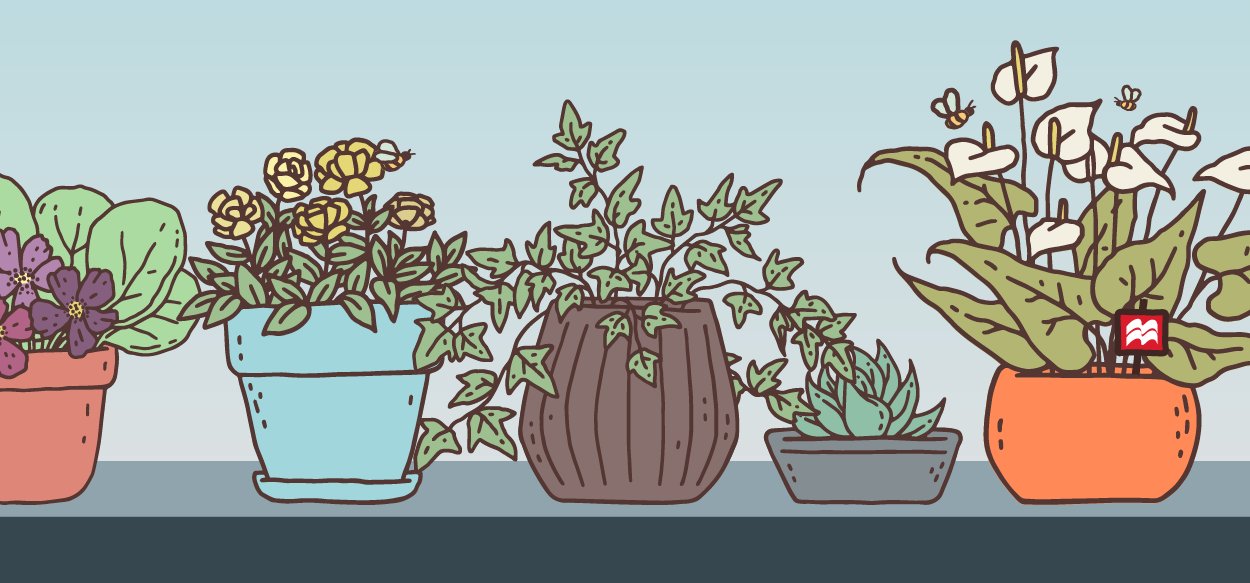 Illustration depicting a row of plants in pots