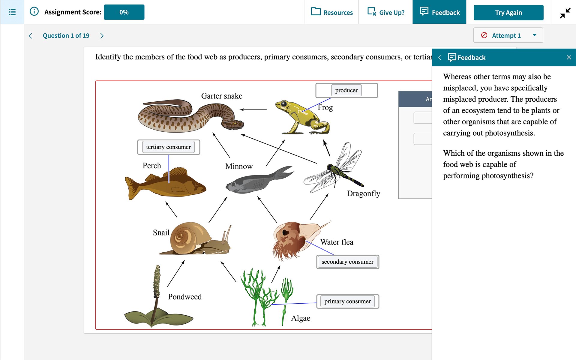 achieve hints feedback solutions