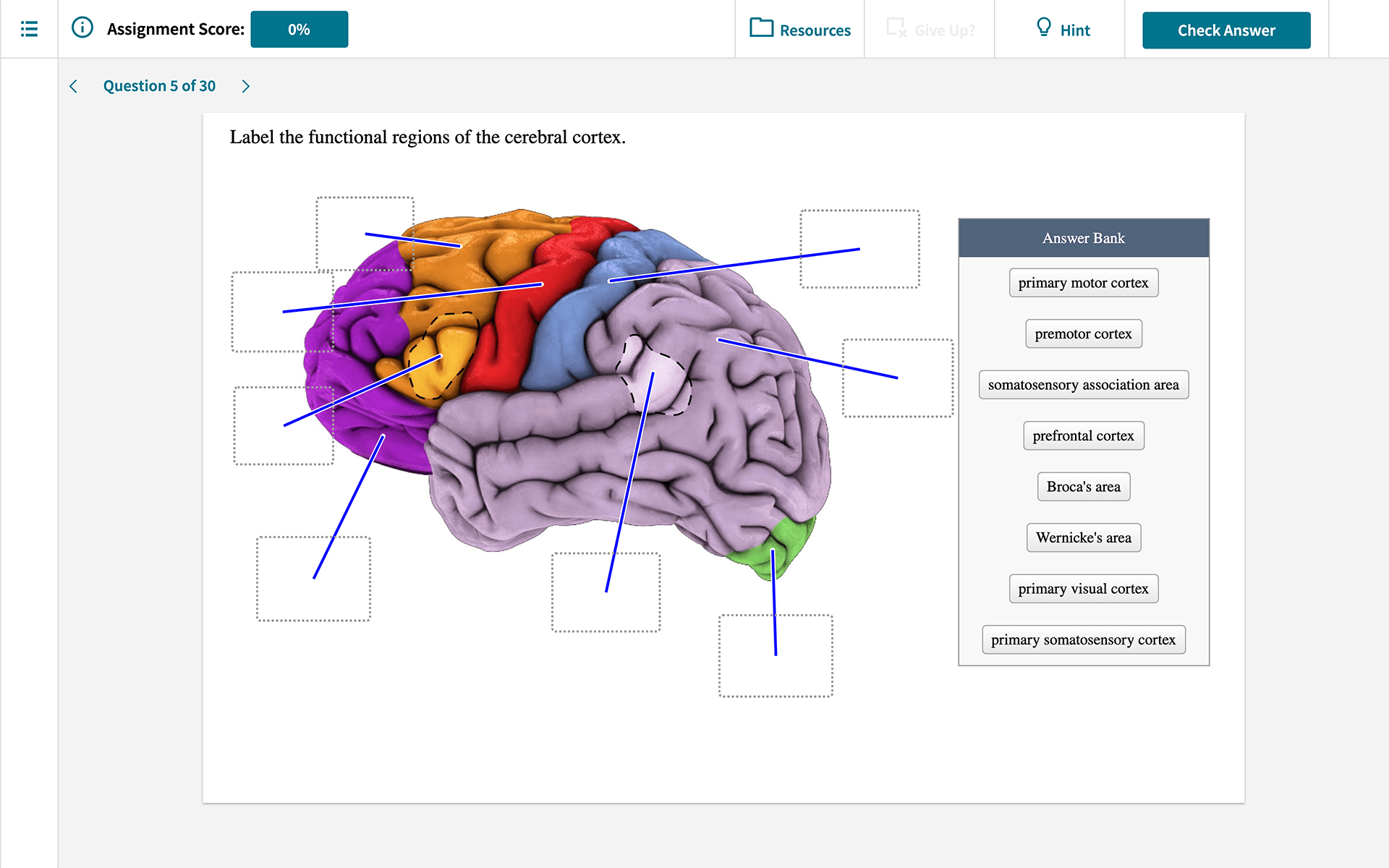 achieve homework