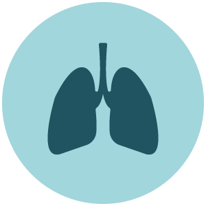 An icon for anatomy and physiology depicted as a pair of lungs is represented as a discipline for the online learning platform, Achieve.