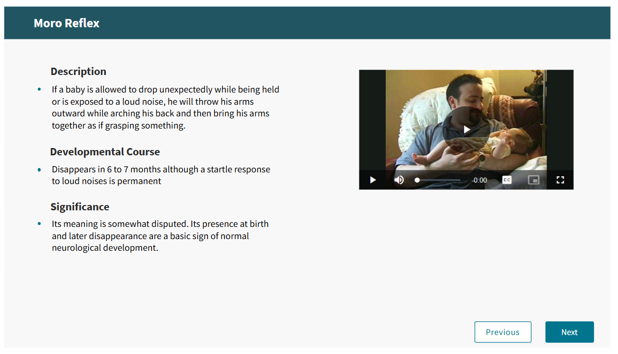 Screenshot of Video Explorations