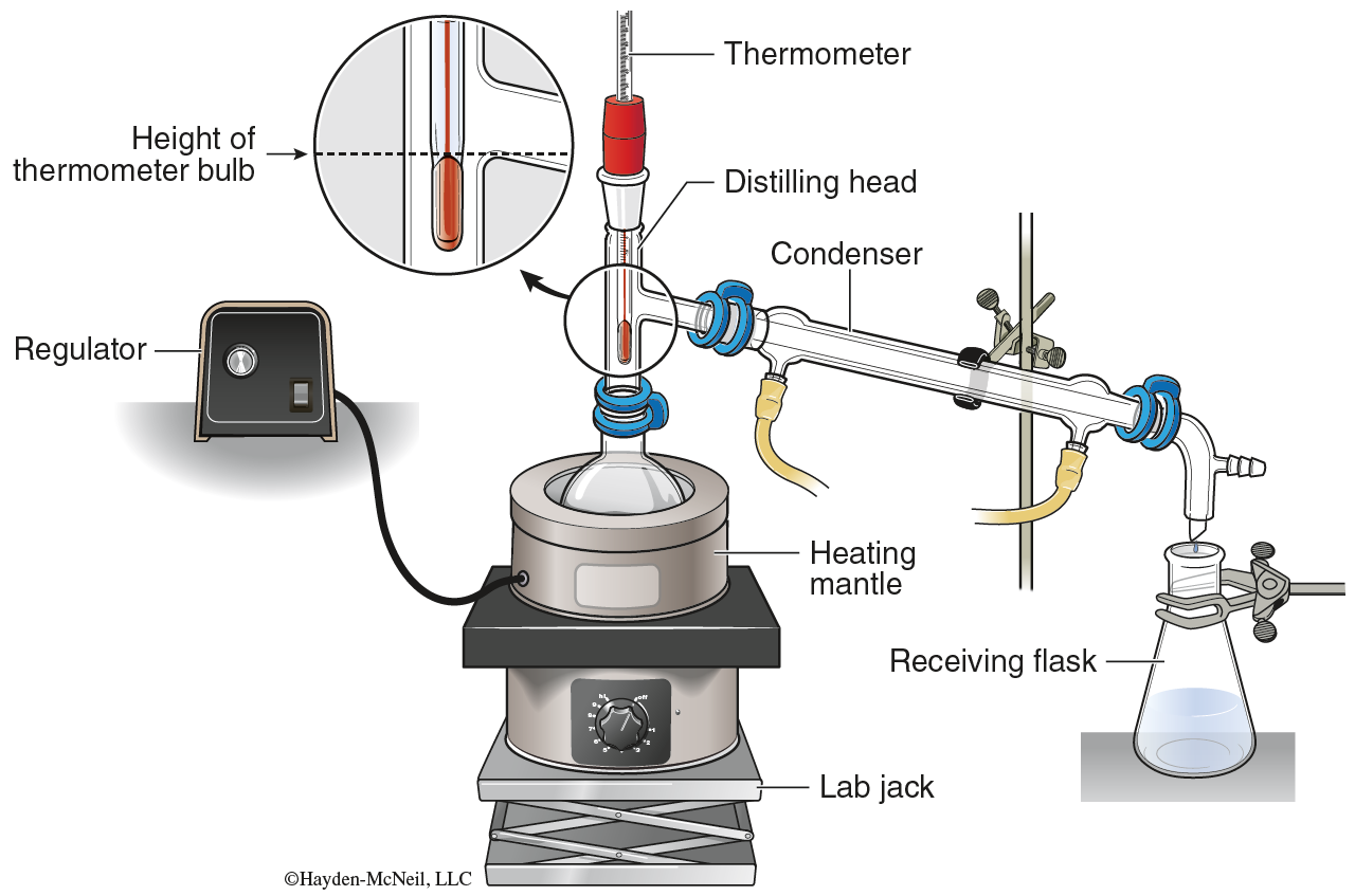 An illustration of a microscope